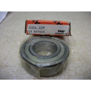 FAG 6004.2ZR Double Shielded Bearing