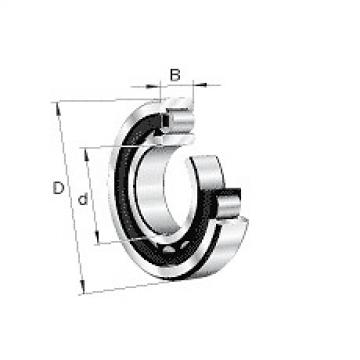 NU319-E-M1A-C3 FAG Cylindrical roller bearing