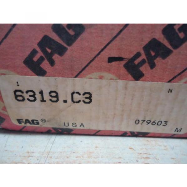 FAG 6319.C3 Bearing #1 image